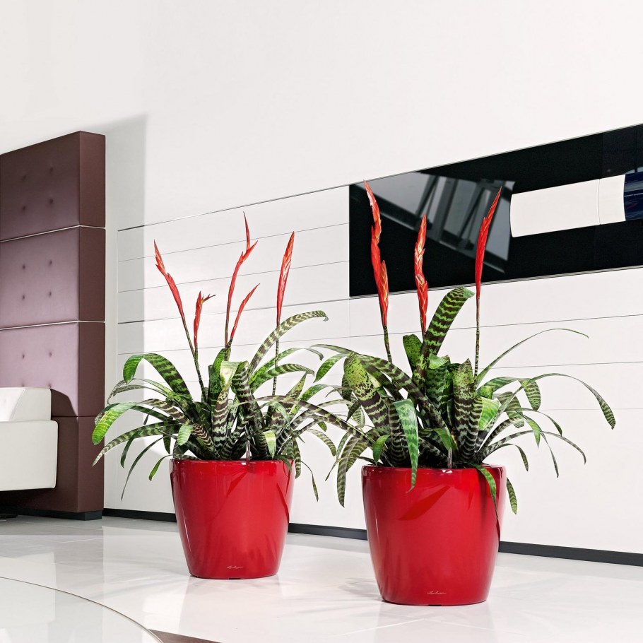 Лечуза Классико 28