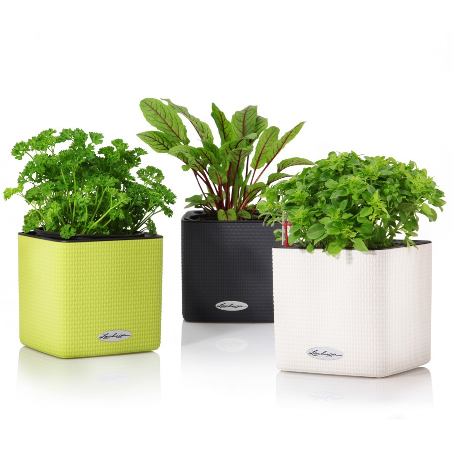 Кашпо Lechuza Кьюб колор 16