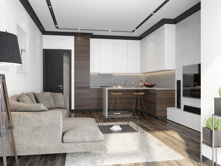 Кухня зал лофт