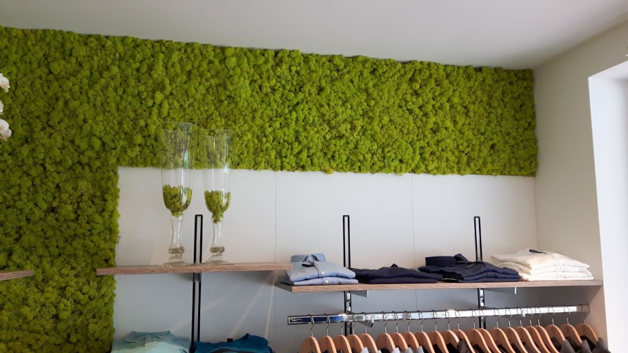 Декоративная штукатурка экостиль