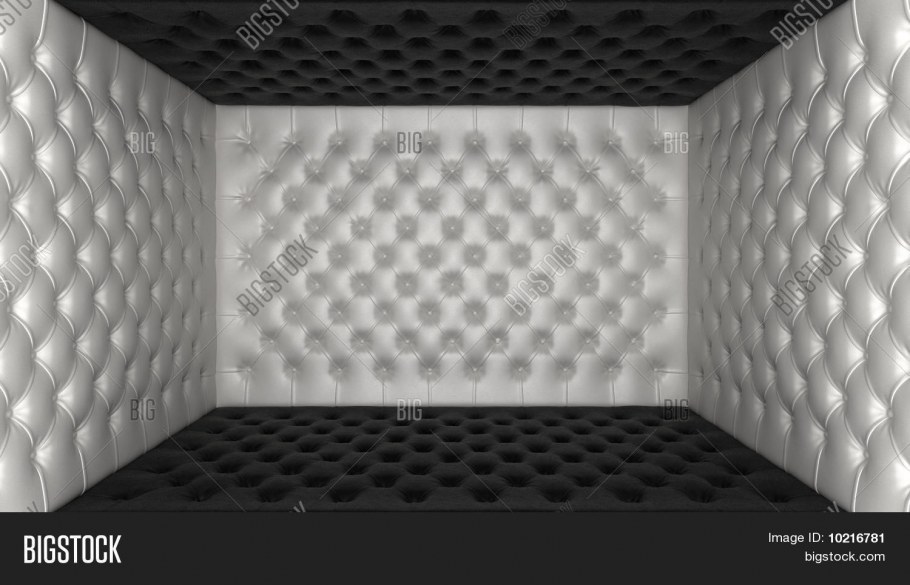 Мягкие стены в психушке