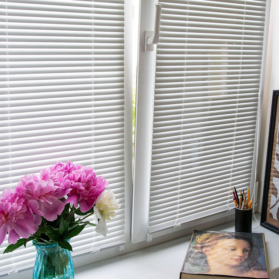 Жалюзи день-ночь на пластиковые окна