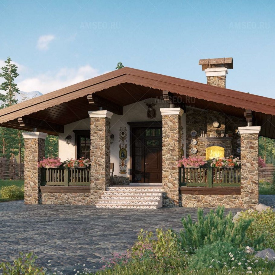 Дом в стиле Шале с террасой одноэтажный проект