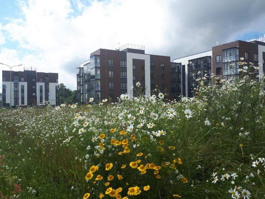 Новая Дубровка Всеволожский район Конти