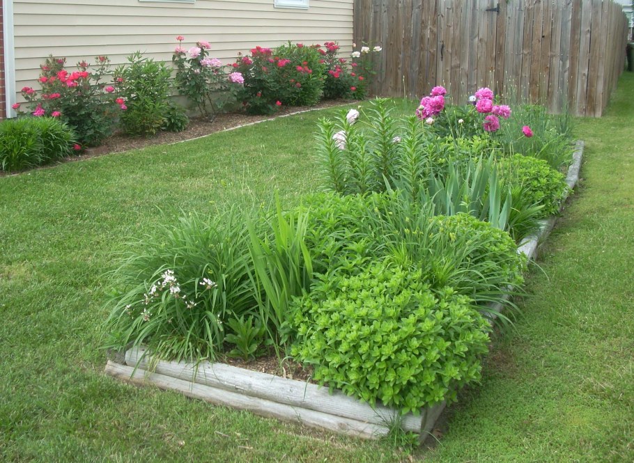 Красивые клумбы на даче