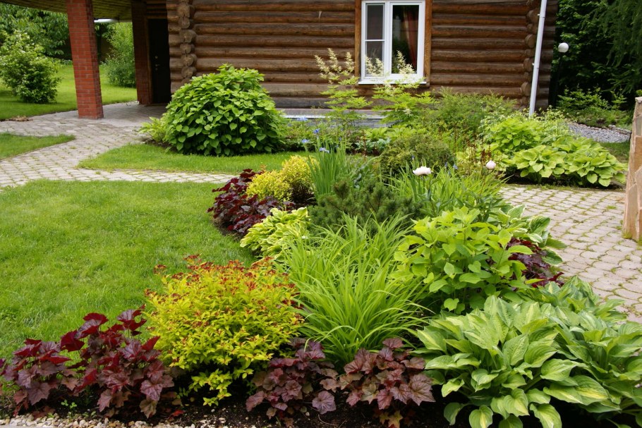 Цветник вокруг дерева