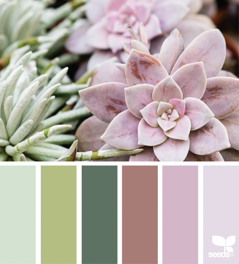 Латте шалфей