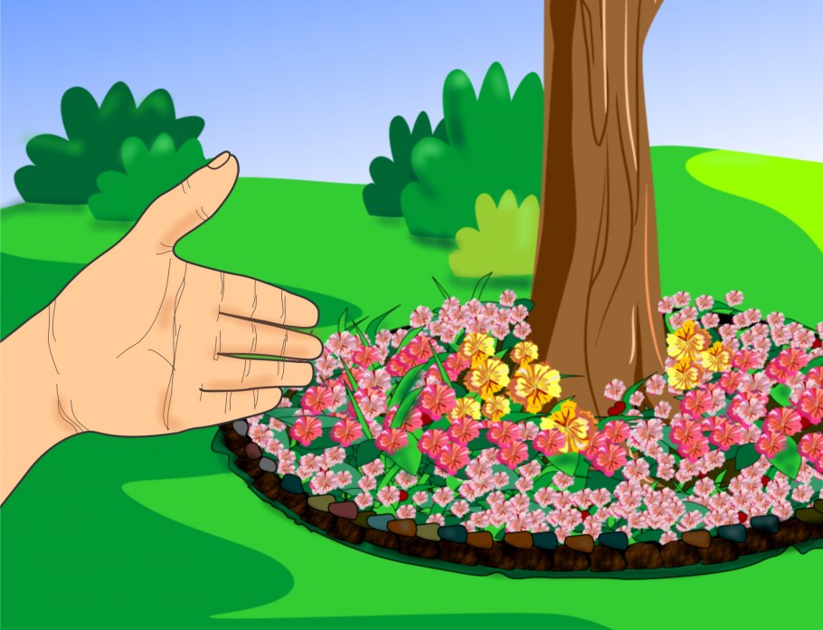 Клумба с цветами рисунок