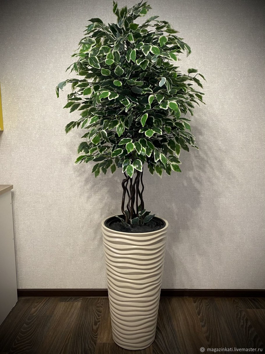 Искусственный фикус