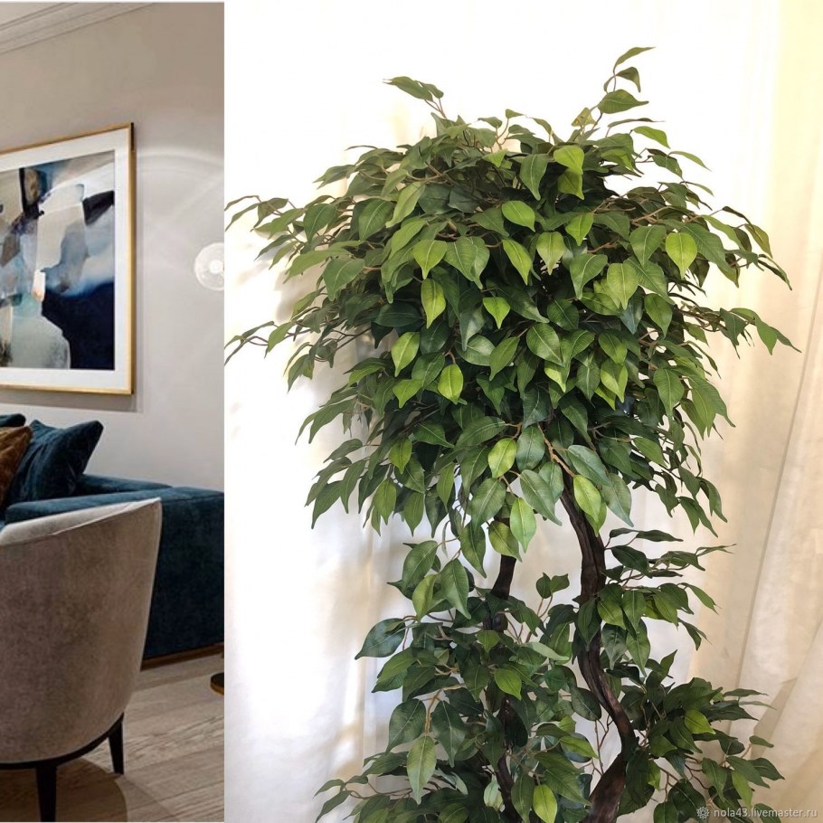 Бонсай в интерьере