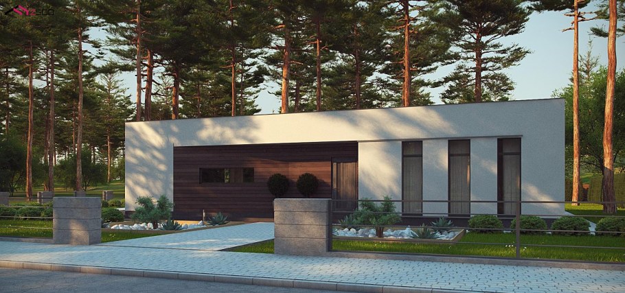 Узкий одноэтажный дом с плоской крышей