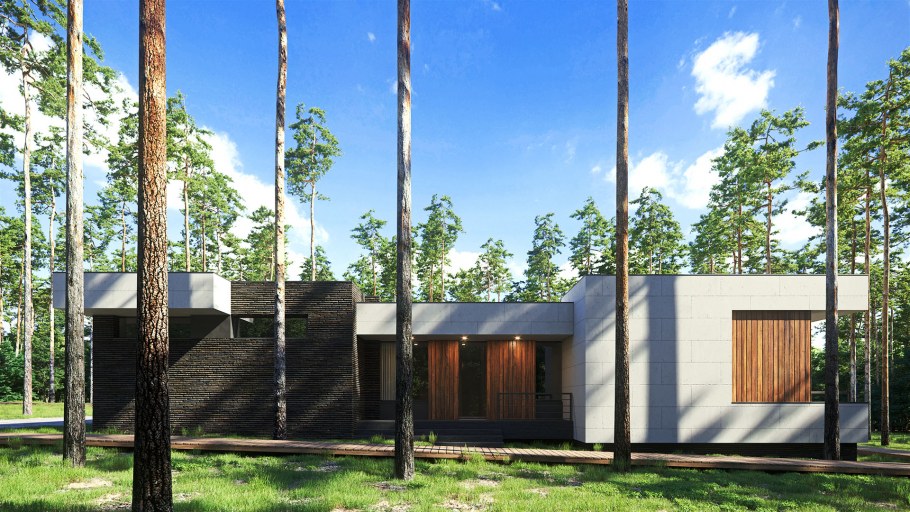 Дубль дом с плоской крышей