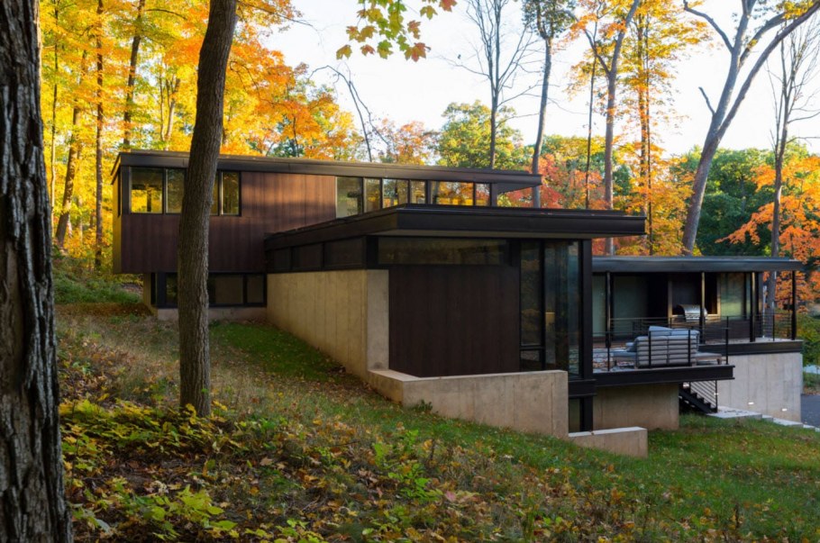 Дом с плоской крышей в лесу