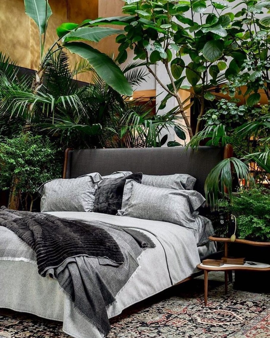 Тропические растения в интерьере