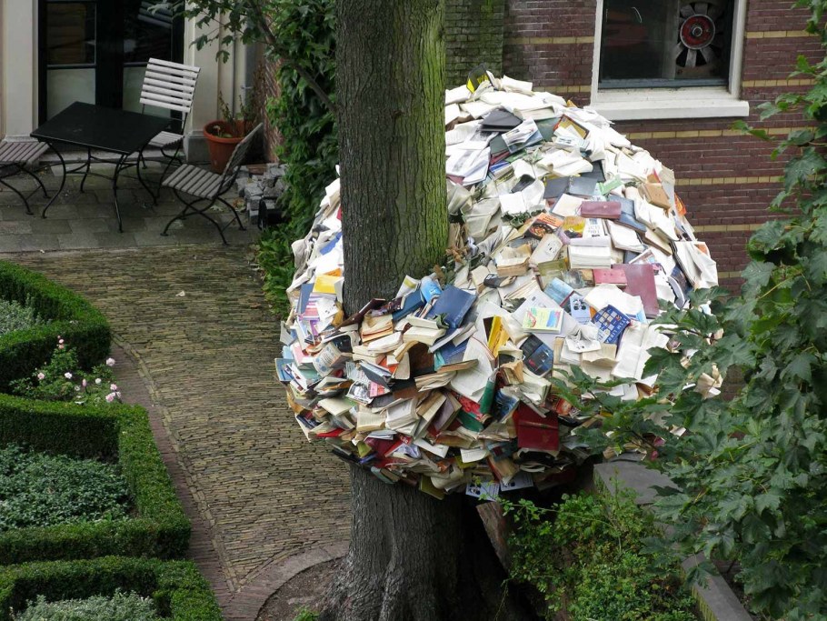 Каркас павлина