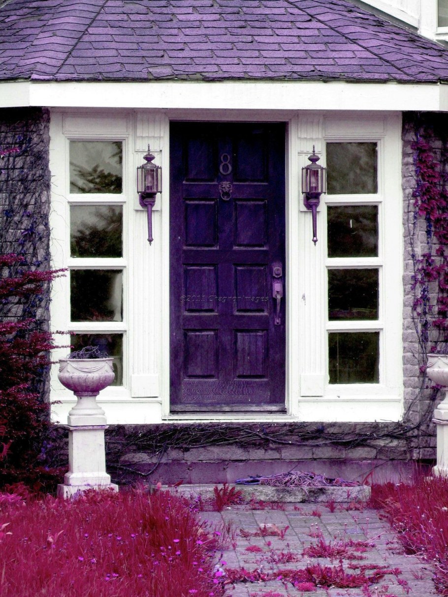 Фиолетовый дом