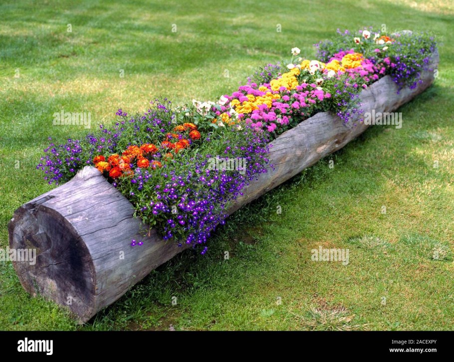 Клумба из бревна