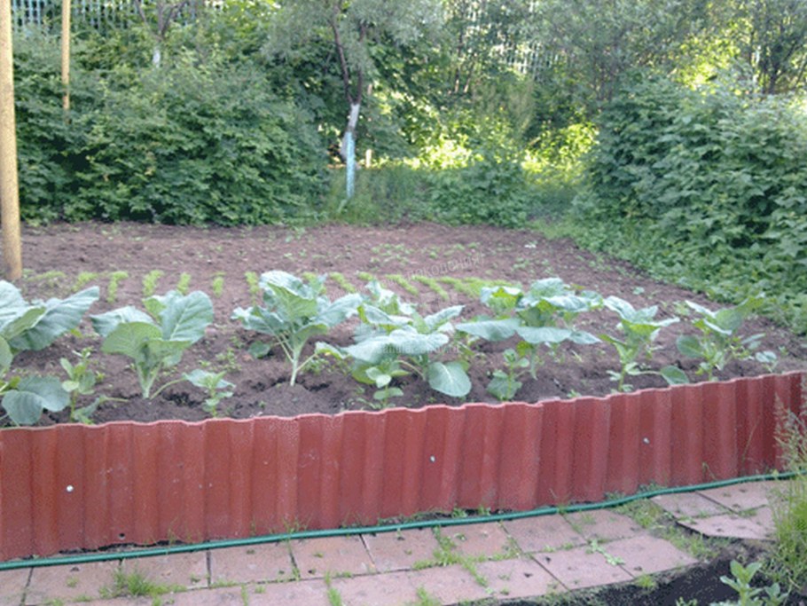 Бордюры для грядок