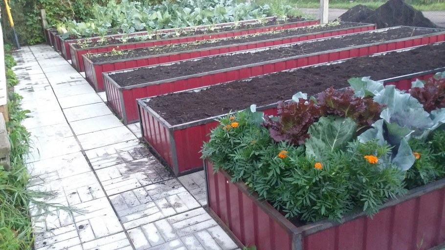 Грядки из плоского шифера