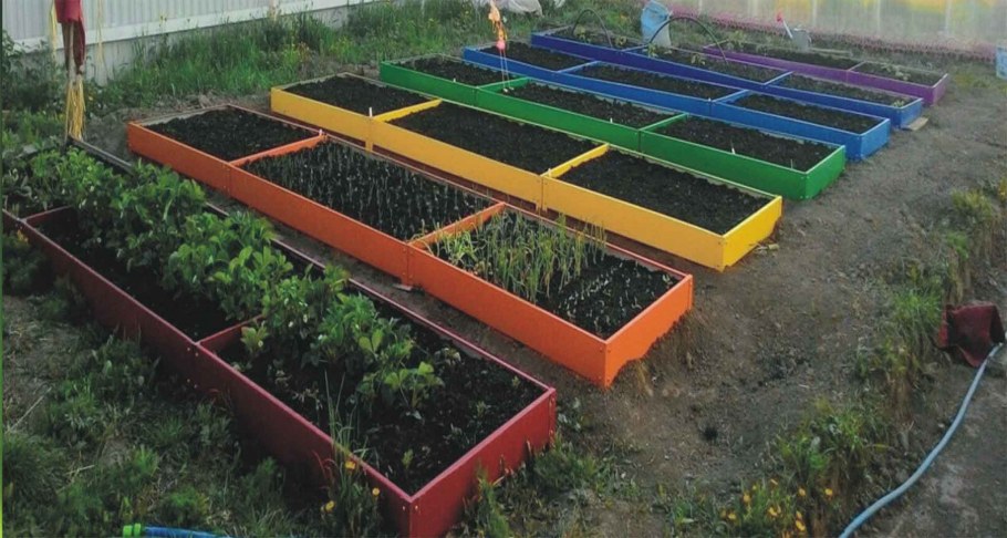 Грядки редут