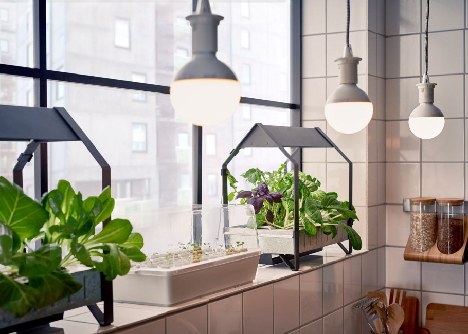 Indoor Hydroponic Garden