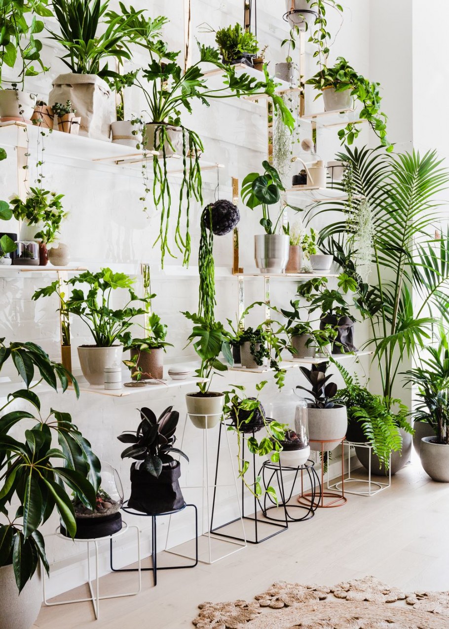 Оранжерея / the Greenhouse