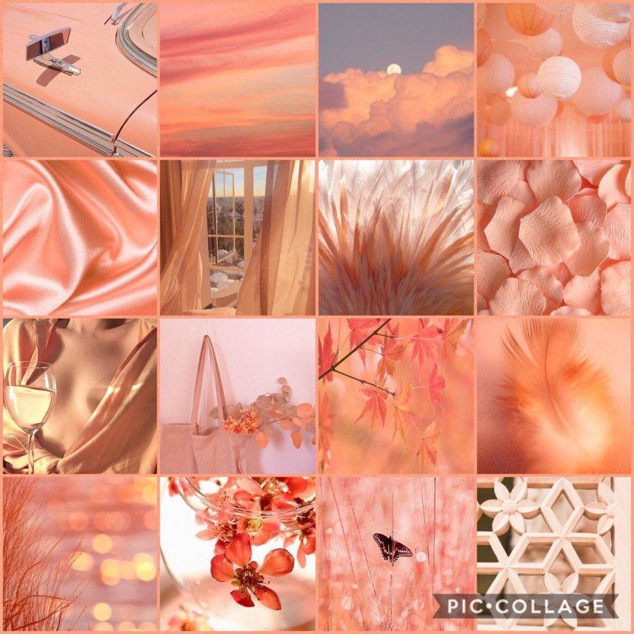 Цветовая палитра персиковый