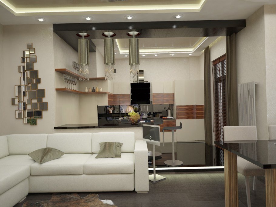 Кухня зал 20 кв совмещенный