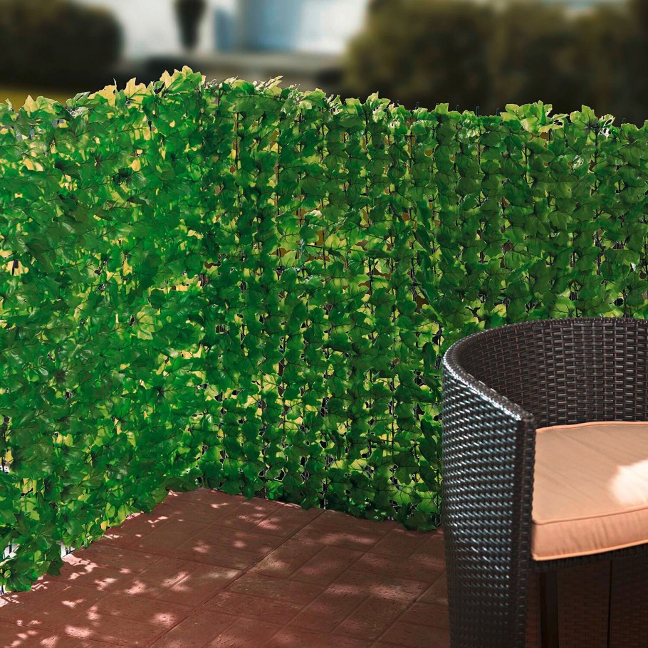 Плющ Живая изгородь сетка