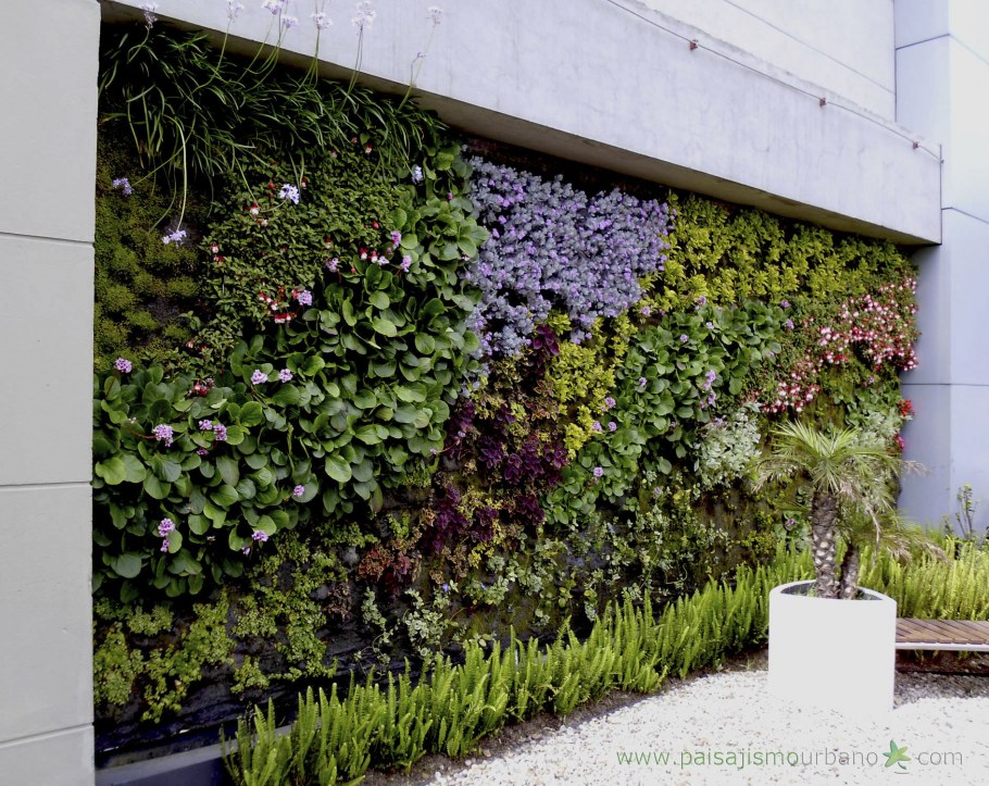 Плющ вайн на здании