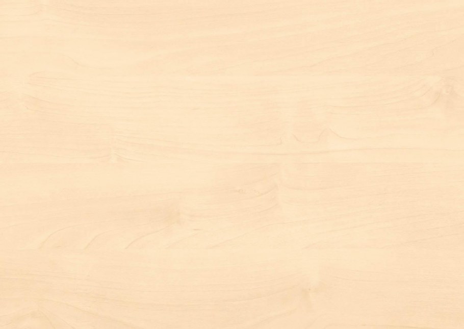 H1733 st9 береза Майнау