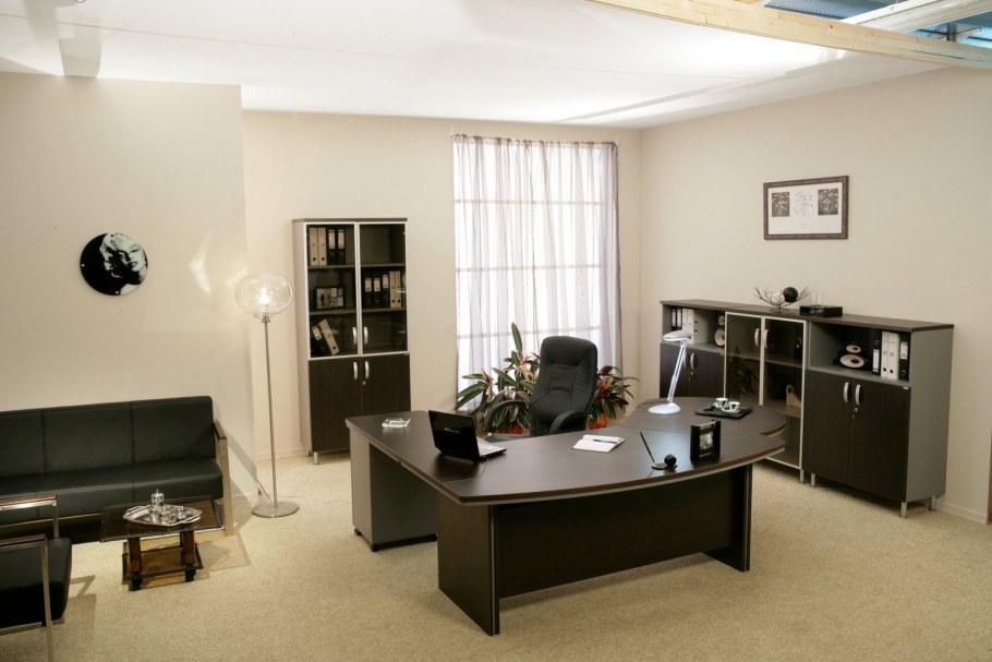 Кабинет руководителя Берлин директорский