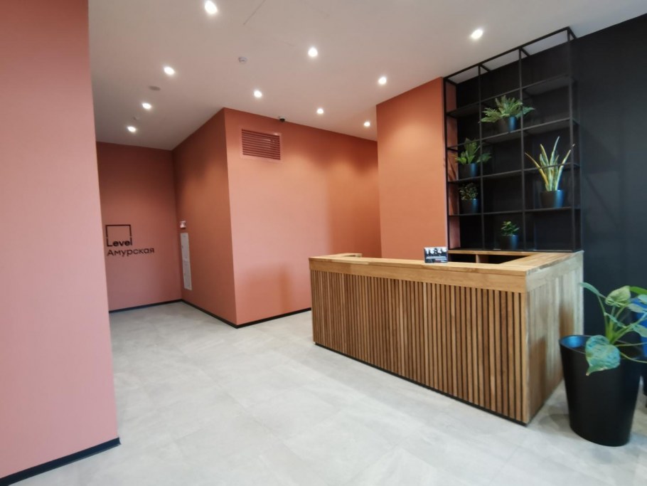 Левел Амурская входные группы