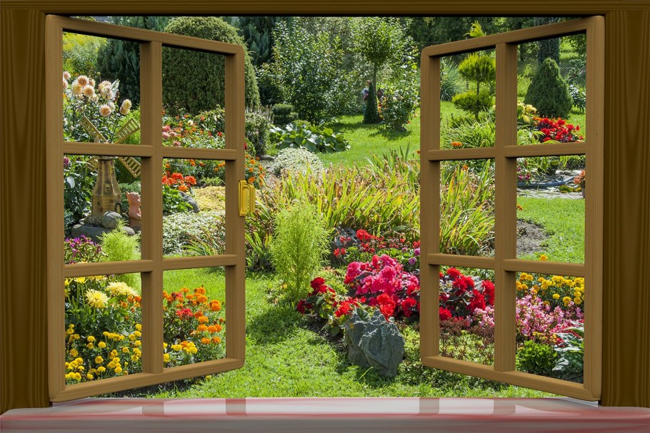 Вид из окна на огород