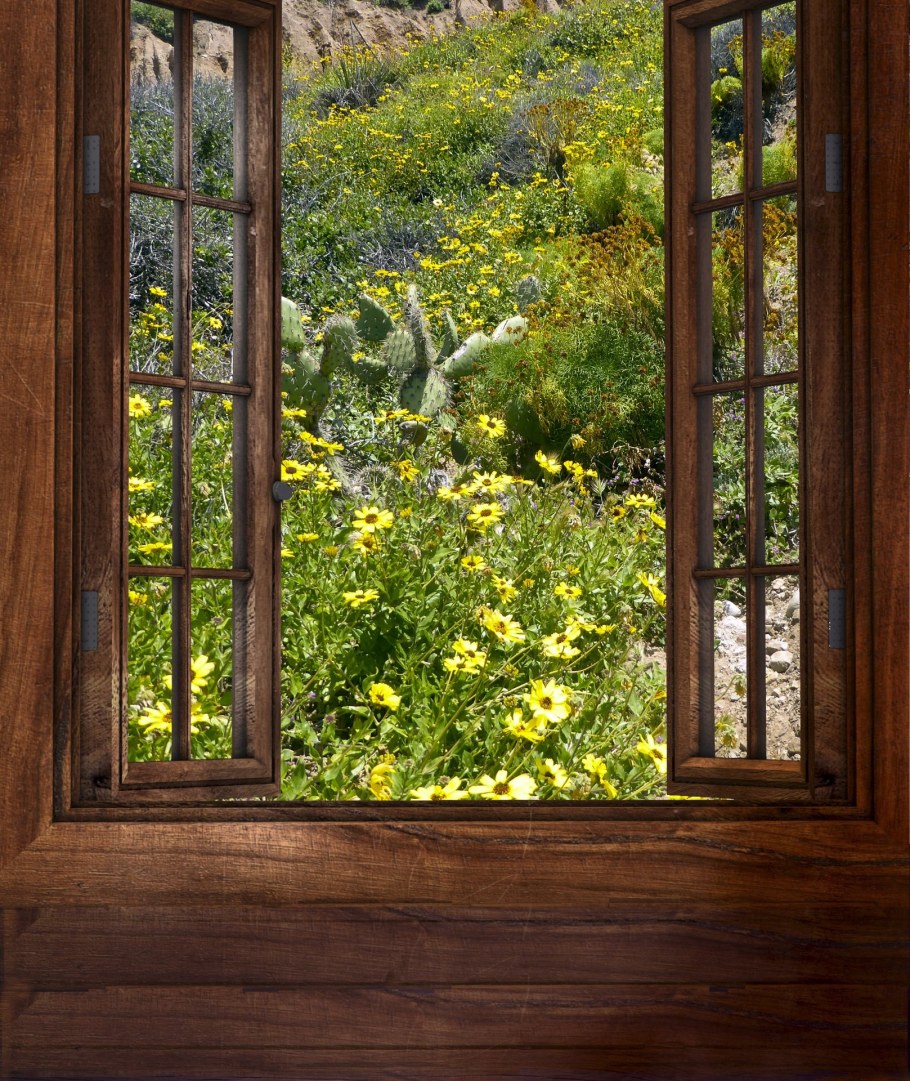 Пейзаж в окне