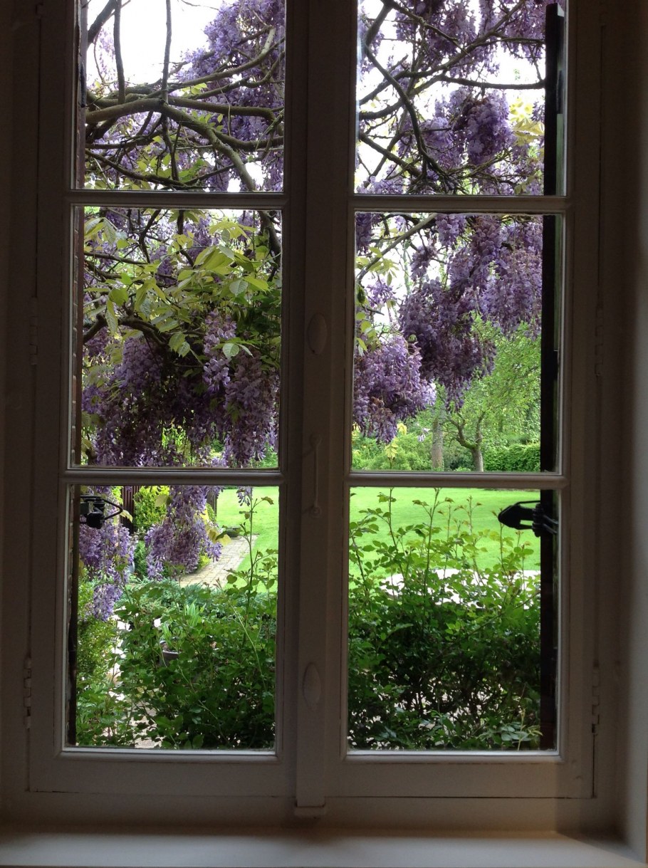 Окно в Цветущий сад