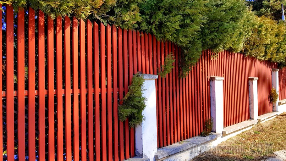 Современные заборы для дачи