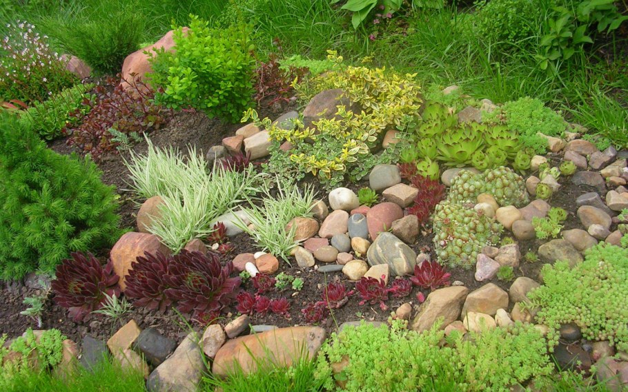 Альпийская горка на дачном участке