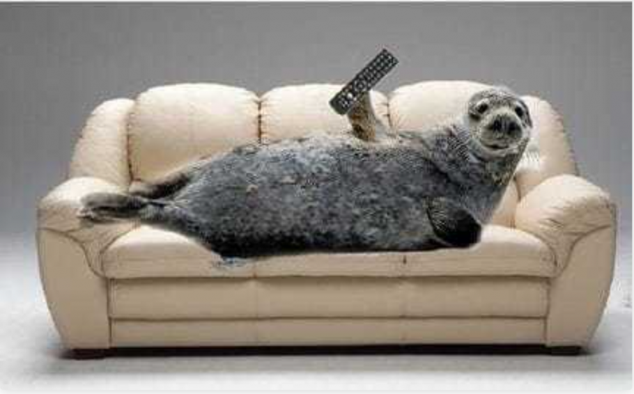 Диван в интерьере