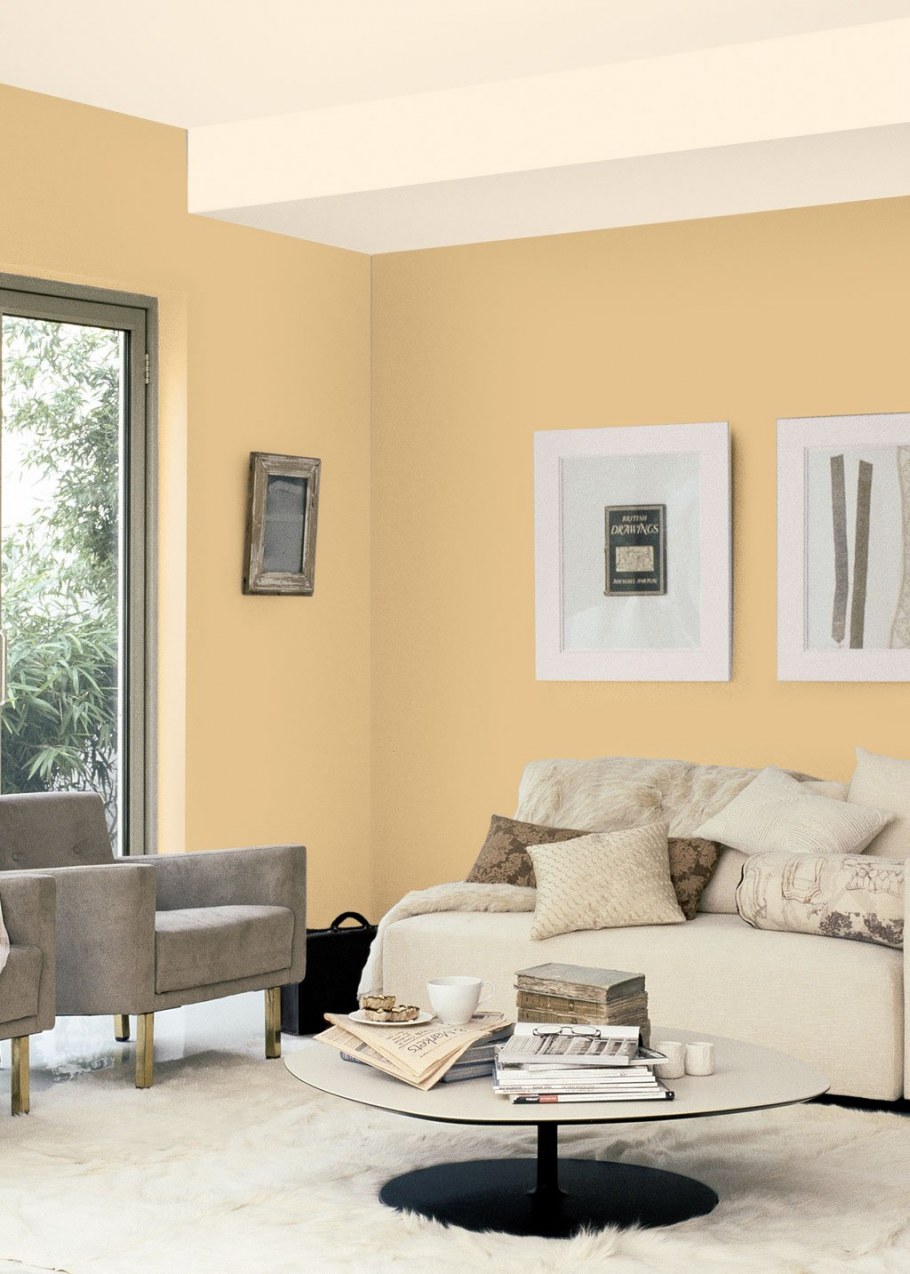 Краска Dulux 60yr 73/015