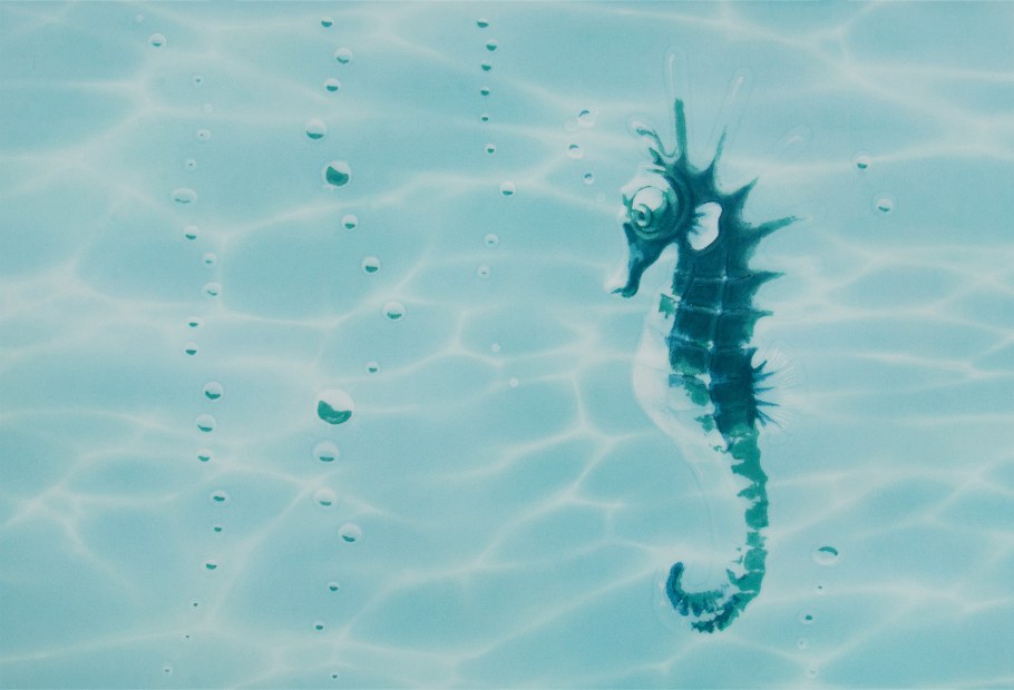 Плитка Ceradim Reef