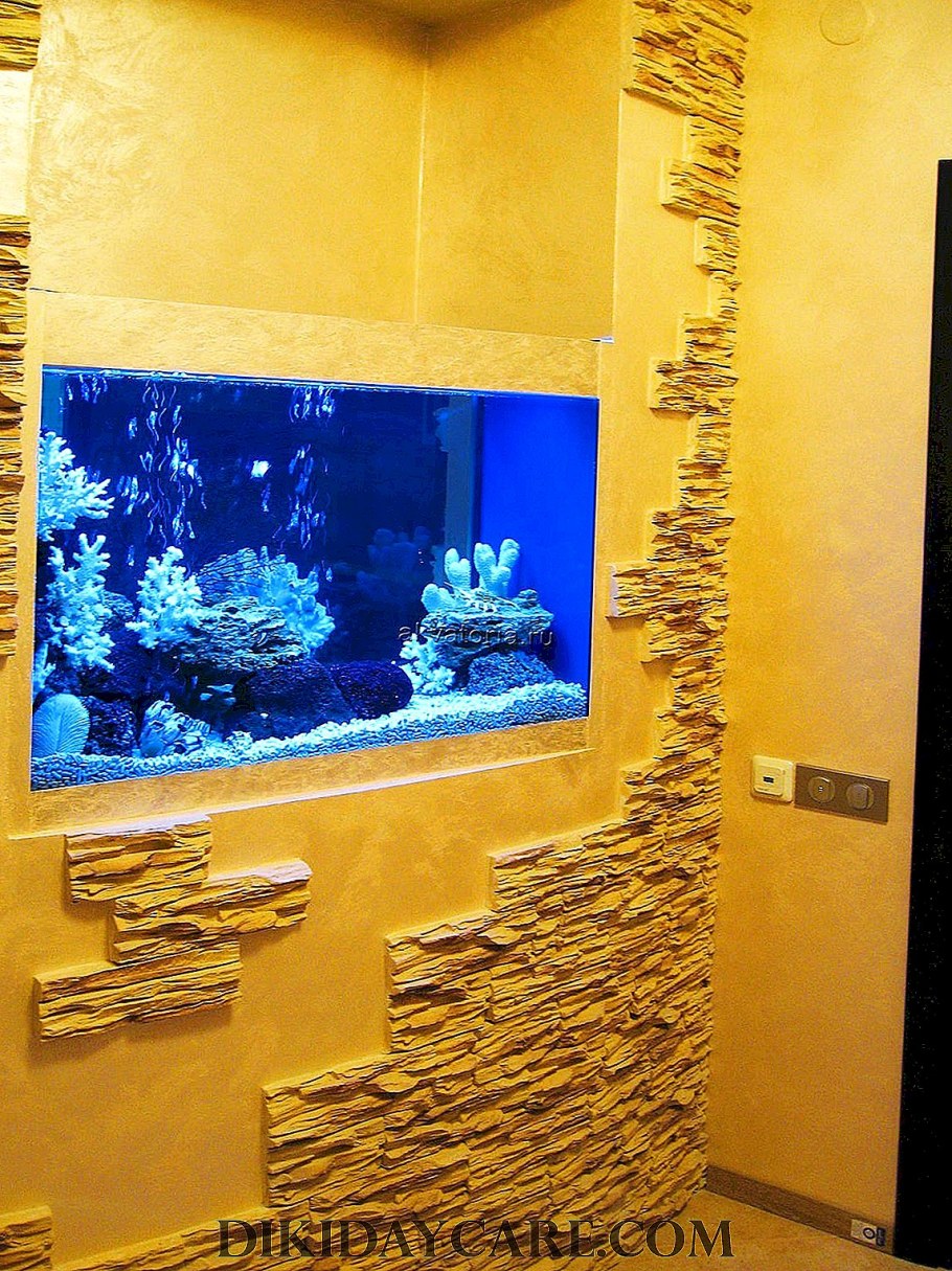 Дизайнерские аквариумы в интерьере