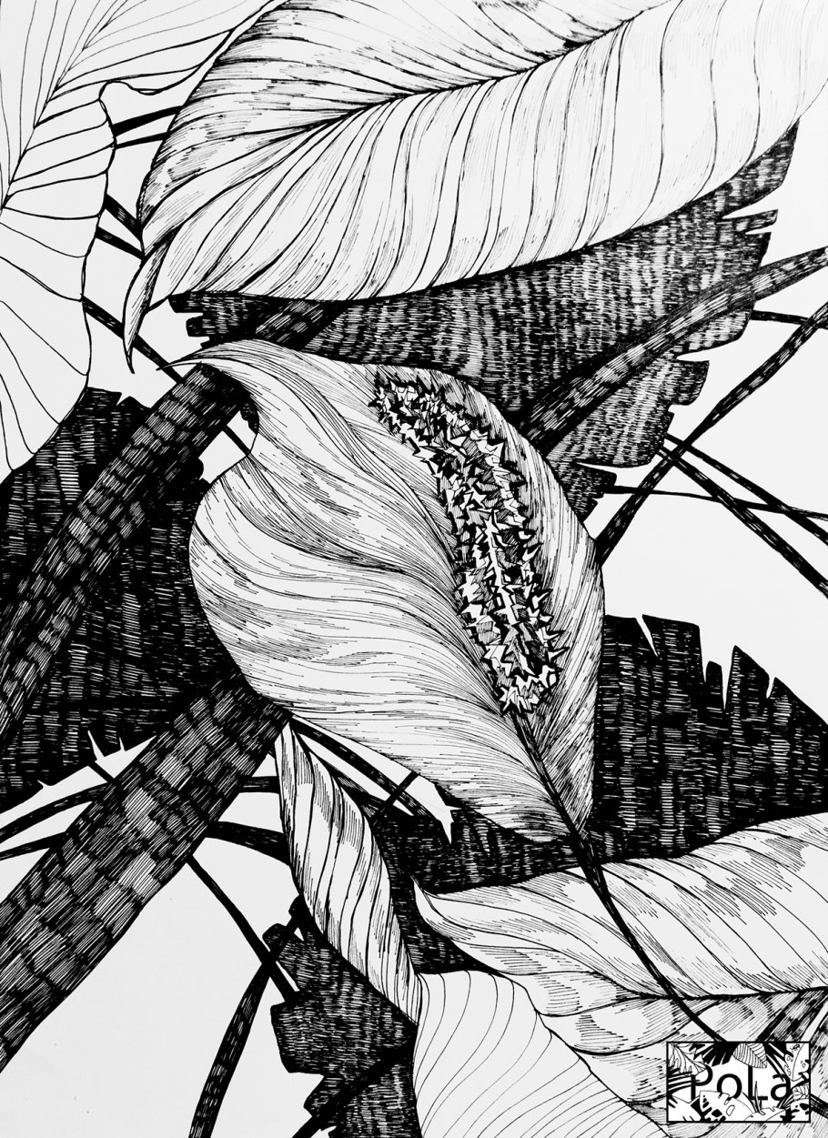 Стильная черно белая Графика