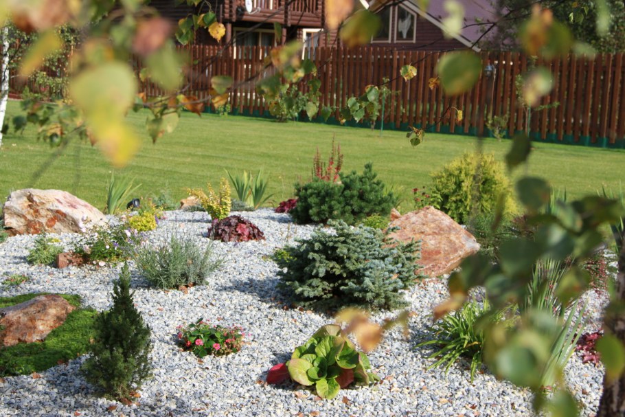 Дерен гортензия миндаль