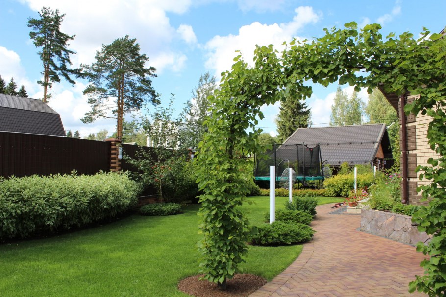 Деревья на участке