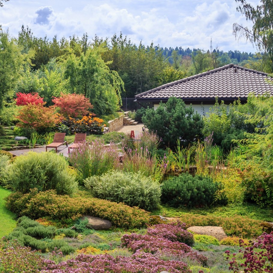 Ландшафт в стиле Шале Лесной участок