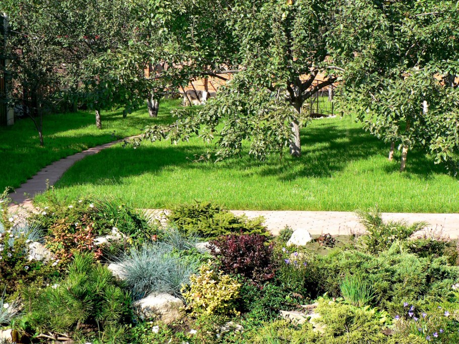 Екатерина Левина ландшафтный Архитектор