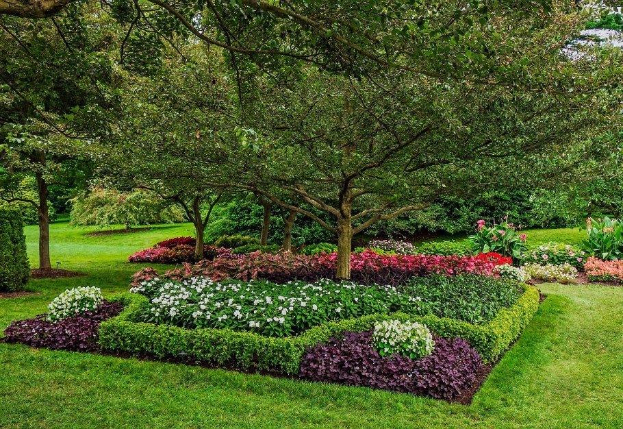 Росписи стен в альпийском Шале