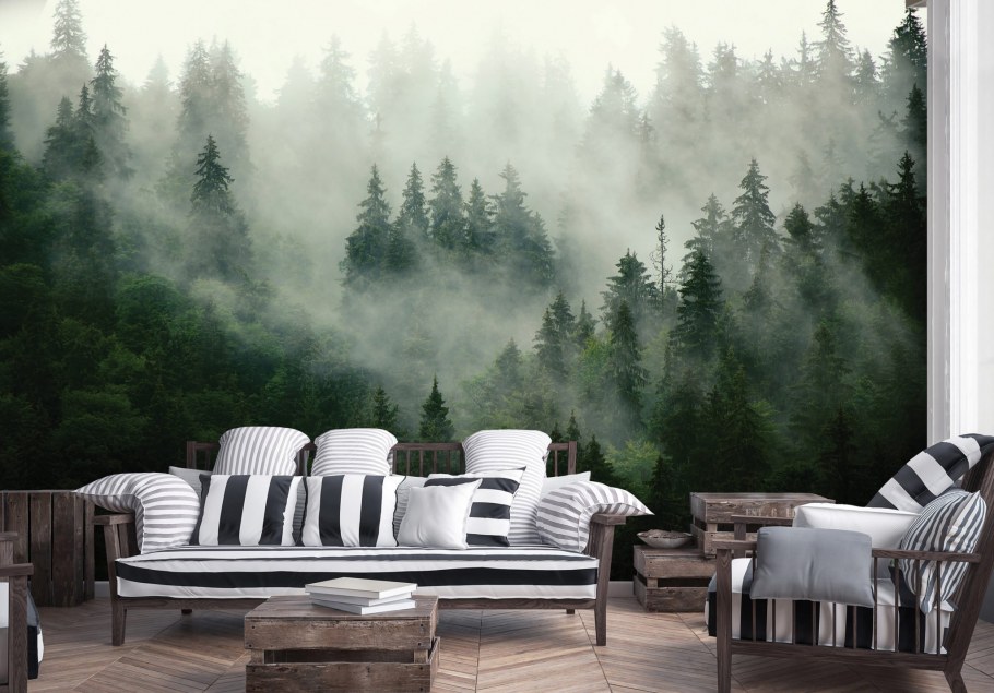 Афреско лес в тумане