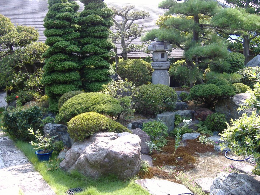 Ниваки японский ландшафт